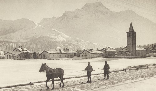 Skijoring, skiing pulled by a horse on Sils Baseglia Lake