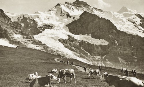 Wengen, Jungfrau panorama, Switzerland