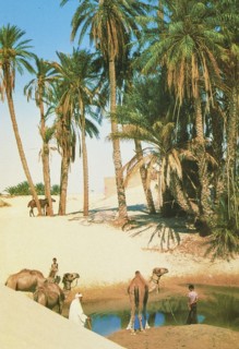 Tunisia, Sahara, 2004 circa