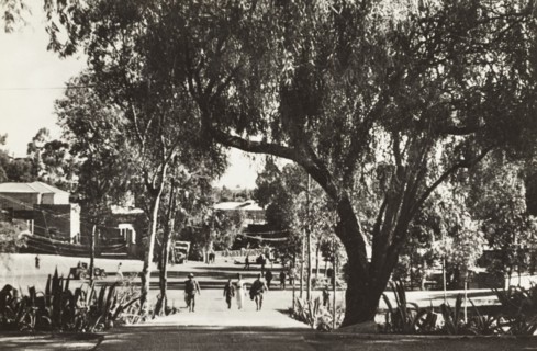 Asmara imbocco Viale De Bono