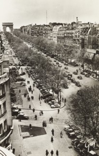 L'avenue des Champs Elysees, Paris