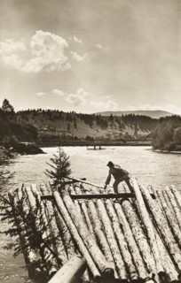 Raftsmen, known as plutasi in Romanian, transporting timber on the Bistrita River