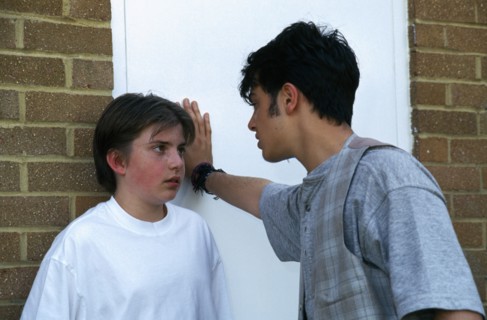 HEALTH, Bullying, Bully and victim.