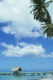 WEST INDIES, Tobago, Pigeon Point, Boat jetty with thatched shelter seen from beneath coconut palm