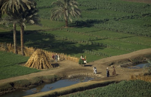 EGYPT, Nile Valley, Farming landscape  beside the River Nile near El Minya