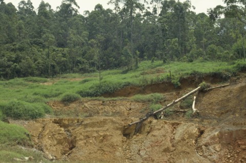 BRAZIL, Minas Gerais, Soil erosion caused by deforestation of the amazon rainforest.