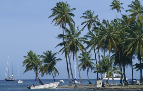 WEST INDIES, St Lucia, Marigot Bay, "Cruise ship, yachts and motor boat in bay with beach and palms
