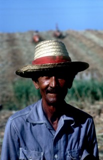 CUBA, Pinar del Rio, Portrait of a sugar worker in field wearing a straw hat