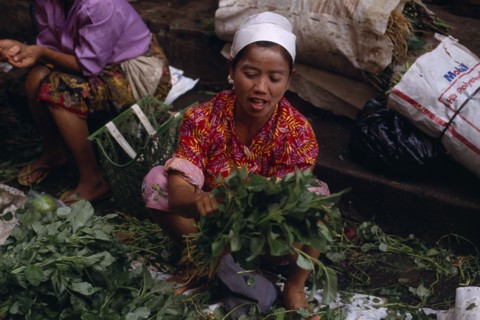 INDONESIA, Sumatra , Bukittinggi, Female vendors in vegetable market.