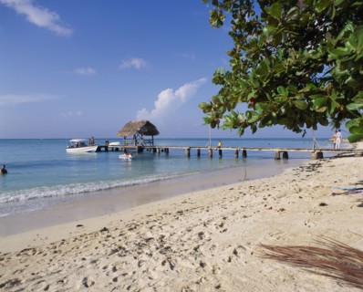 WEST INDIES, Tobago, Pigeon Point, Sandy beach with boats at wooden jetty with tree leaves from