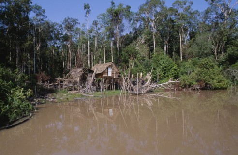 BORNEO, Jungle, Riverside stilt houses in small clearing