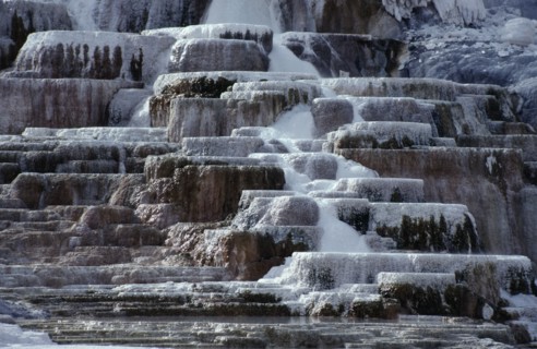USA, Wyoming, Yellowstone National Park, Detail of Minerva rock terraces