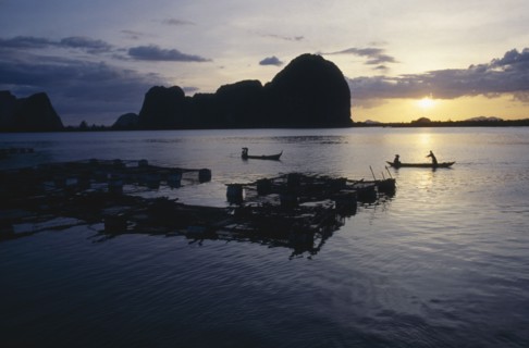 THAILAND, Phang Nga Bay, Fish farm with people in long boats silhouetted at sunset