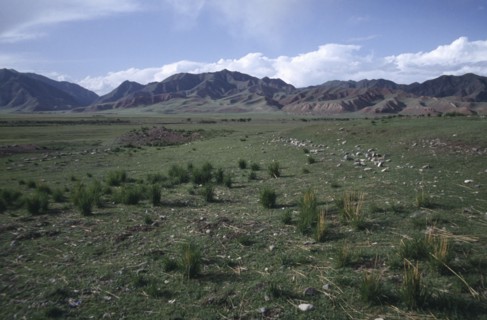 CHINA, Gansu, Grassland arealeading toward hills on the horizon
