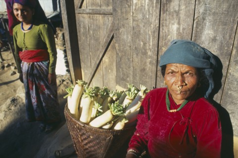 INDIA, Sikkim, Women in the vegetable market