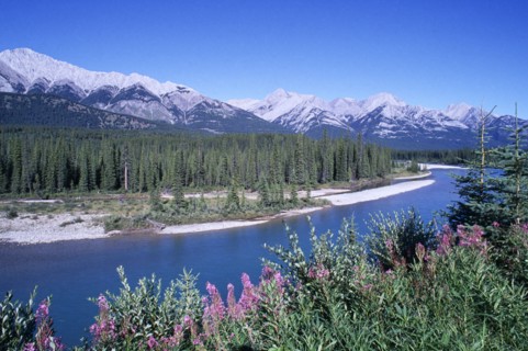CANADA, Alberta, Banff national park, View over river toward forest against a backdrop of