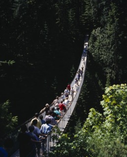 CANADA, British Columbia, Vancouver, Capilano Suspension Bridge with tourists crossing the tree
