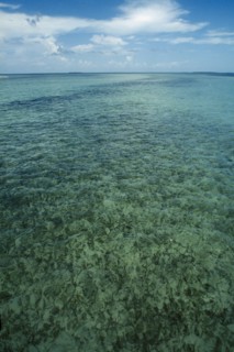 CUBA, Ciego De Avila, Cayo Guillermo, Clear shallow water