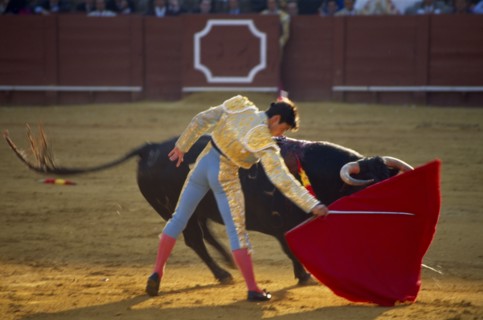 SPAIN, Andalucia , Seville, Bullfight Matador