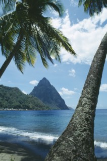 WEST INDIES, St Lucia, Soufriere, The Pitons framed by palm trees on beach in the foreground.