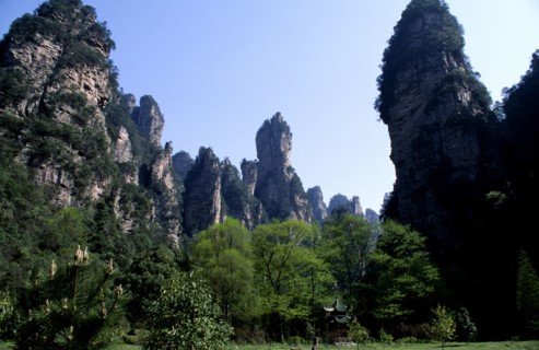 CHINA, West Hunan, Zhangjajie National Park, View looking up at forest of towering rock peaks