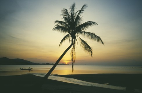 THAILAND, Surat Thani, Ko Samui, Big Buddha beach at sunset with fishing boat going past single
