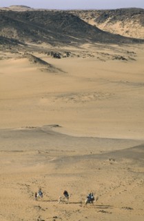 EGYPT, Aswan, Tourists on camels in desert