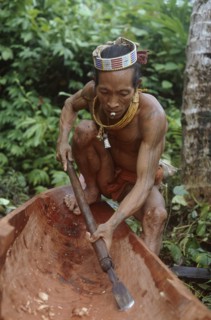 INDONESIA, Sumatra, Siberut Island, A Mentawi man hollowing out a canoe whilst he smokes a hand