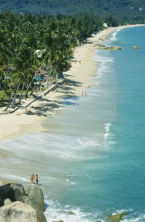 THAILAND, Surat Thani, Koh Samui, "View along Lamai beach with palm trees, huts and tourists"
