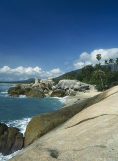 THAILAND, East Coast, Koh Samui, Hin-Ta and Hin-Yai. GRANDFATHER