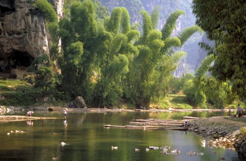 CHINA, Yangshou Province, Fisherman on the bank of a tree lined river with boats by the other bank