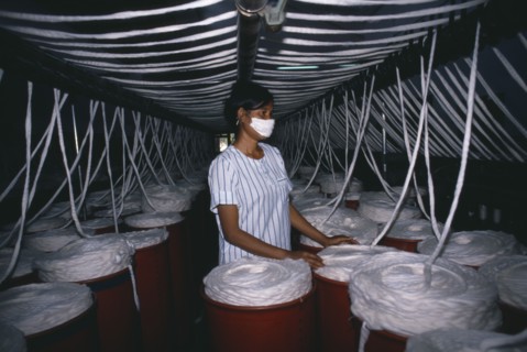 CAMBODIA, Kampong Cham, Woman surrounded by vats of yarn in textile factory.