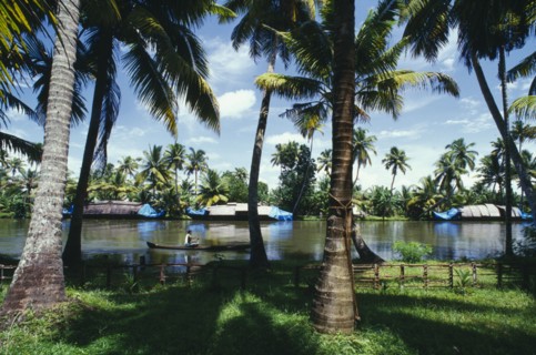 INDIA, Kerala, Backwaters , Old rice boats moored against far bank of canal with passing man in