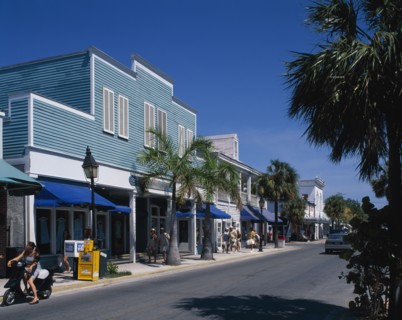USA, Florida, Key West, Duval Street. Palm lined street scene
