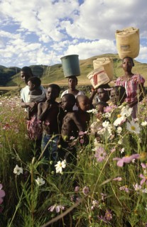 SOUTH AFRICA, KwaZulu Natal, Group of children carrying tubs for water on their heads in field of