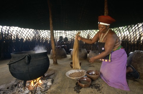 SOUTH AFRICA, Kwa Zulu Natal , Eshowe, Shakaland  Zulu woman making beer shaking sorgum from a