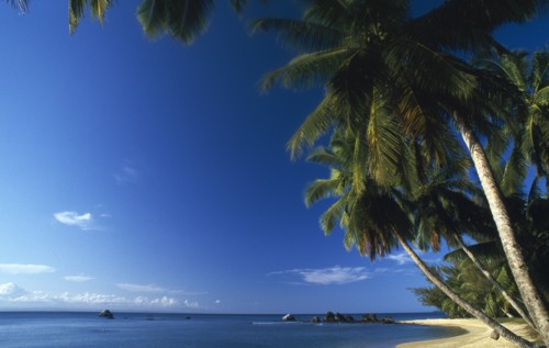 MADAGASCAR, Isle St Marie, Empty beach scene with palm lined shore