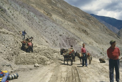 CHINA,  Mekong Valley, Men with donkeys at landslide