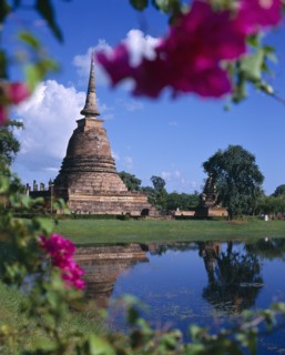 THAILAND, Central Plains, Sukhothai, Bell shaped temple(Wat)through flowers-reflection
