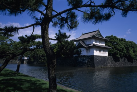 JAPAN, Honshu, Tokyo, Imperial Palace seen across the moat with pine trees in the foreground