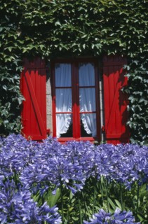 FRANCE, Brittany, Ile De Brehat , Red shuttered window with ivy growing on surrounding wall and