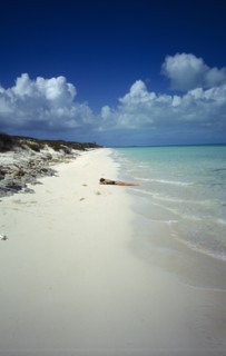 WEST INDIES, Turks And Caicos, Provo, Quiet beach with sunbather lying on the sand by the waters