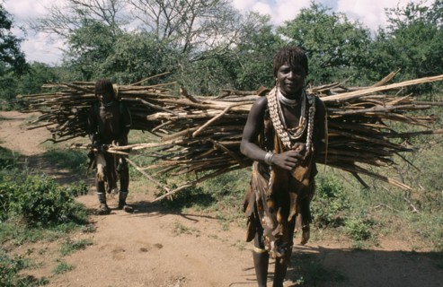 ETHIOPIA, Indigenous People, Hamer women collecting firewood.