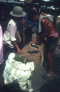 CAMBODIA, Phnom Penh, Kompong Thom marijuana in 50kg bale at market.