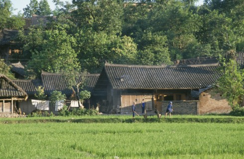 CHINA, Guizhou , People outside village housing with rice fields in the foreground.