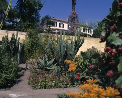PORTUGAL, Madeira, Funchal, Botanic Garden