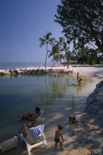 USA, Florida, Islamorada, "Cheech Lodge Beach with palms, people sitting on sun loungers in the