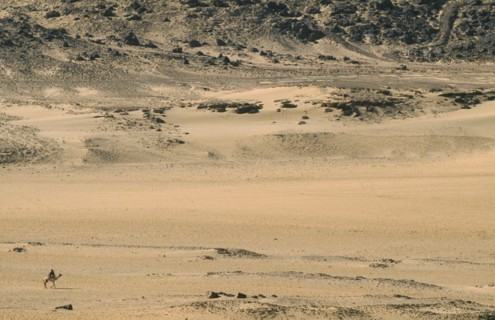 EGYPT,  , Aswan, Rider on camel in desert