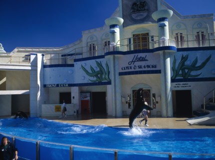 USA, Florida , Orlando , Seaworld. Clyde and Seamore Show with Dolphin in pool performing tricks