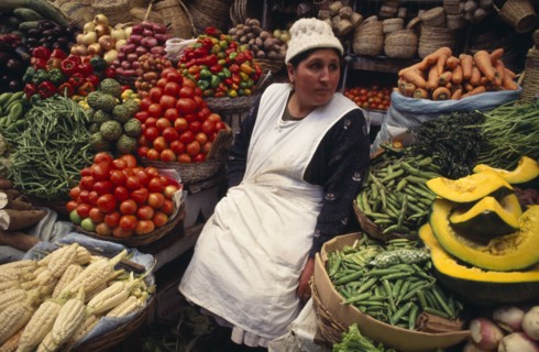 BOLIVIA, Sucre, Fruit and vegetable stall with women stall holder